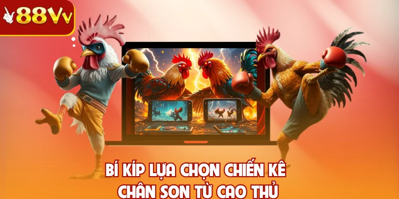Bí kíp lựa chọn chiến kê chân son từ cao thủ